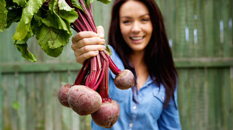 rote beete