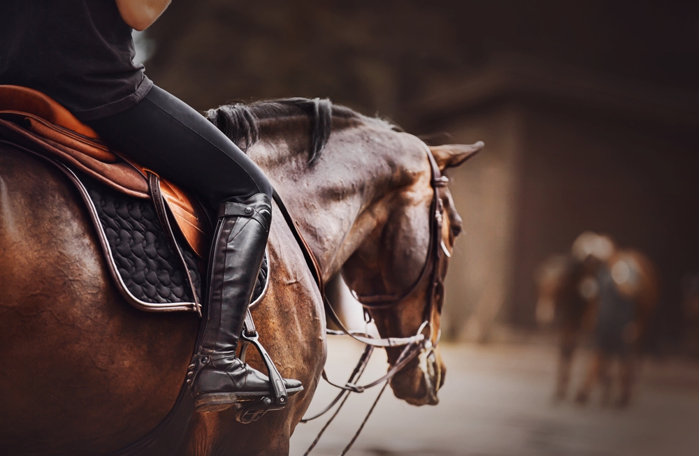 cowboy stiefel für frauen